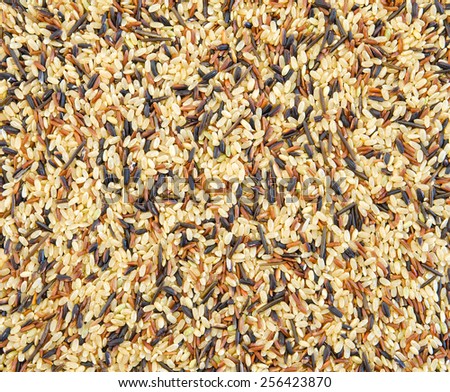 A close up image of a blend of, long and short grain, wild, brown and white rice.