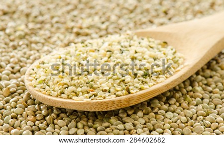 A wooden spoon with hemp hearts on a background of whole hemp seeds