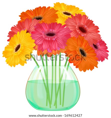 Daisy gerbera flower bouquet in  glass vase on  white background, vector
