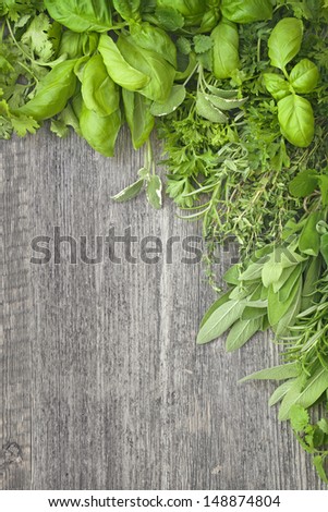 Fresh herbs over grey wooden background