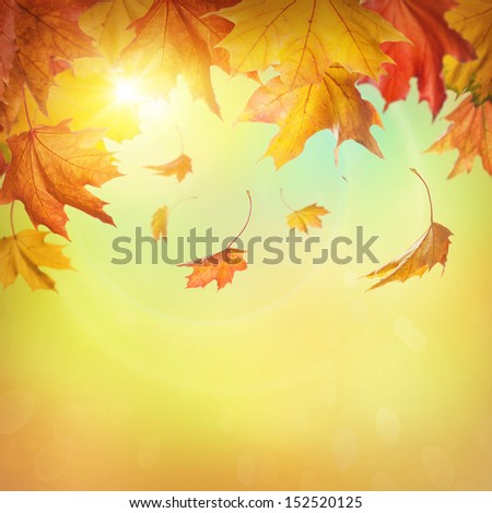 Autumn falling leaves on colorful background