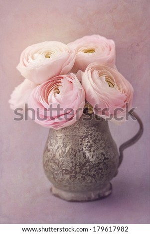 Pink ranunculus flowers on a lilac background