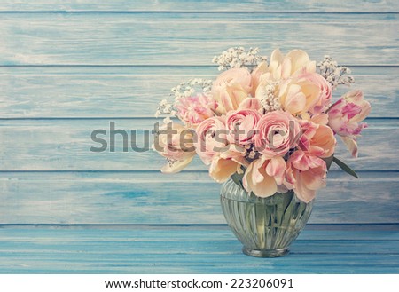 Pink ranunculus flowers on a blue wooden background