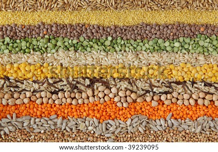 Various seeds and grains close up