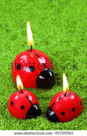 ladybug candle
