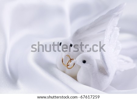 stock photo White doves with wedding rings