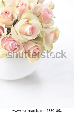 White roses  in a vase on white background