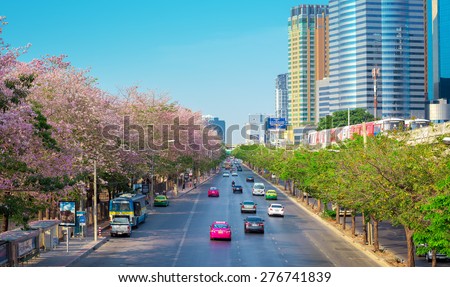 BANGKOK - Apr 21, 2015 Thailand: Front Street Park. A beautiful pink flowering tree in the garden. Chatuchak Park in Bangkok