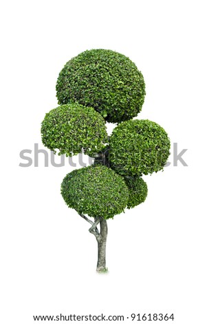 Green trees. The cutting blade is a circular white background.