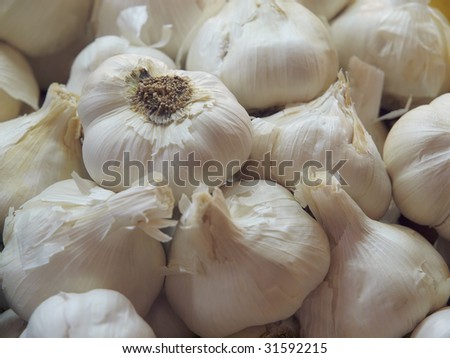 Garlic bulbs on the farm market booth
