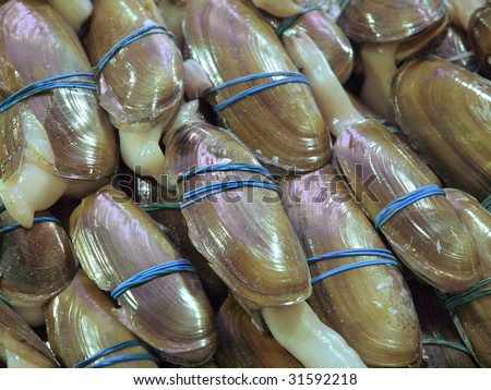 Razor clams on the farm market booth