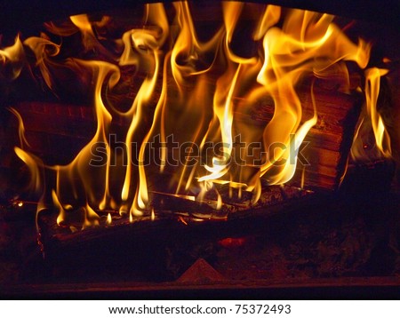 Fire blazing in the fireplace with decorative screen