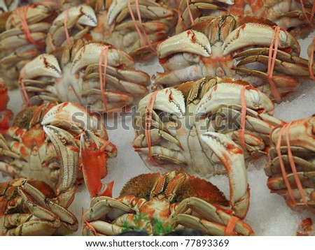 Cooked Dungeness crabs (Metacarcinus magister) on ice on the market stand