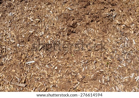 A bark mulch background