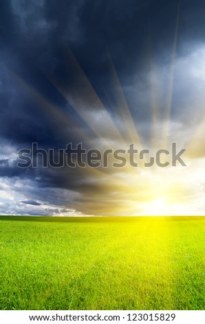 Summer landscape. Green bright field with thunderclouds. Dramatic lighting.