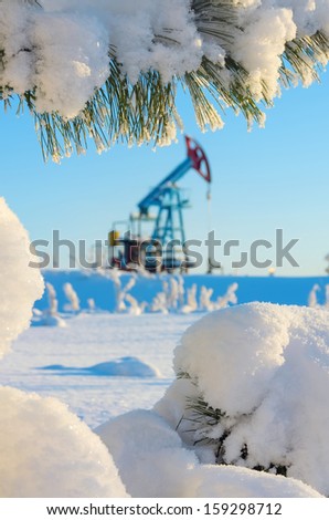 Snow-covered branch cedar oil pump in the background