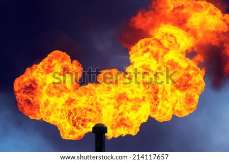 Oil Torch Oil Torch