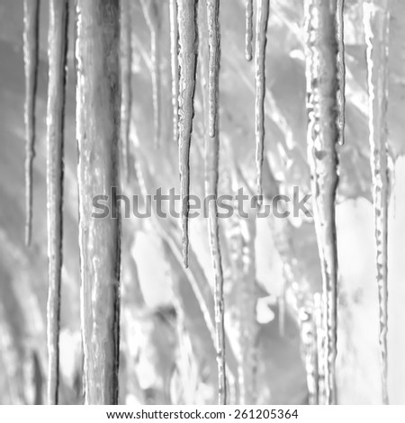 Background icicles in black and white style.