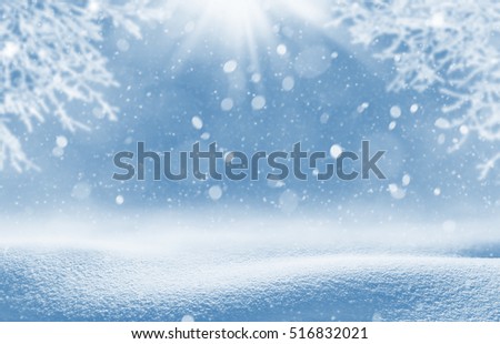Christmas background. Winter landscape with snowdrifts and tree branches in hoarfrost.