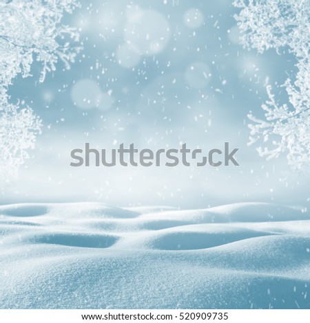 Winter background. Christmas landscape with snowdrifts and tree branches in the frost