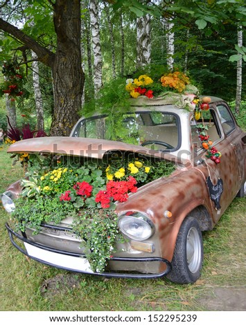 Flowers under the hood of an old car