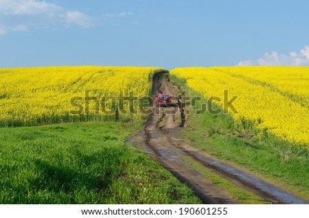 Road to heaven with red car  in the midst of rape field