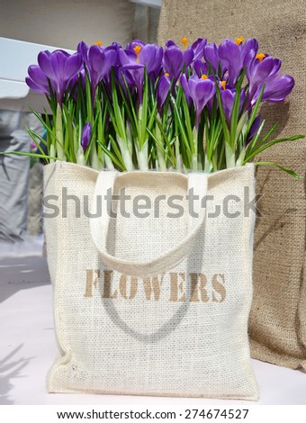Flowers crocuses in the bag with the inscription \