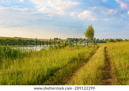 The charming landscape with alone tree and road middle of the field near the river at dawn in pastel colors (harmony, rest, relaxation, anti-stress, meditation - concept)
