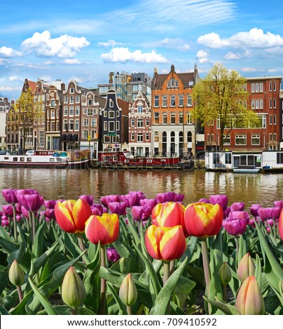 Fabulous, incredibly beautiful magical landscape with a river and tulips in Amsterdam, Holland, Europe.