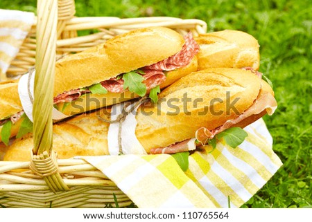 Long baguette sandwiches with salami, prosciutto and arugula for picnic