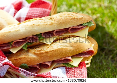 Long baguette sandwiches with salami and cheese for a picnic