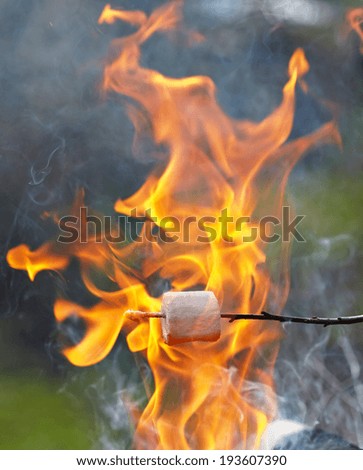 marshmallow on a stick roasted over a camping fire