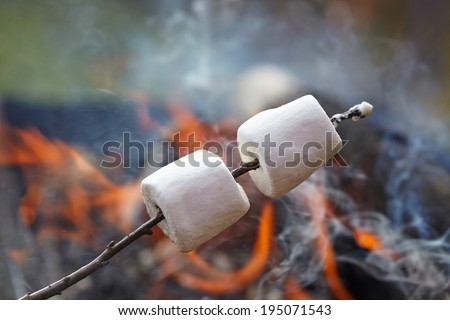 marshmallow on a stick roasted over a camping fire
