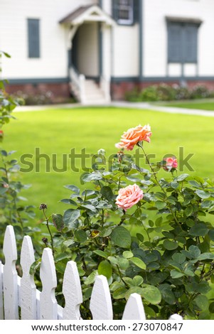 white picket fence with roses and an entrance