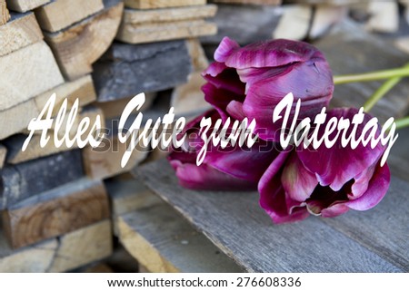 red tulips in front of a stack of wood with the german text: Alles Gute zum Vatertag (best wishes for fathers day)