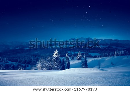 Snowy winter night. Stunning night landscape. Sky with stars over snowy mountains and valley.