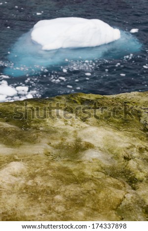 Antarctica landscape - ice floating in the sea