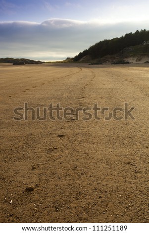 footsteps in sand on beach in north wales