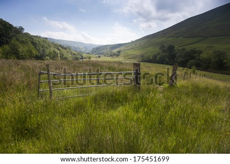 beautiful meadow and gate and fence in the countryside