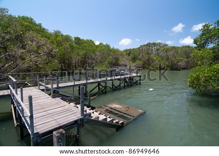 wooden path-way in mangrove jungle