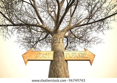 past future arrow sign in a tree. a symbol for global warming to protect the earth with trees