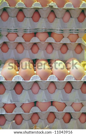 Boxes filled with eggs at food market