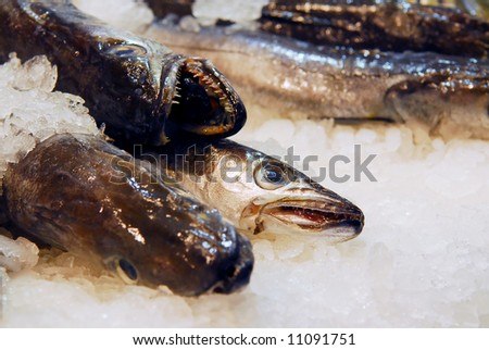 Fresh fish on ice at food market La Boqueria in Barcelona