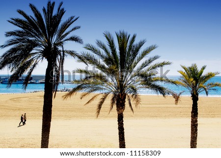 barcelona beach pictures. stock photo : Barcelona beach