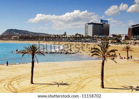 barcelona beaches spain. Olympic on Barcelona beach