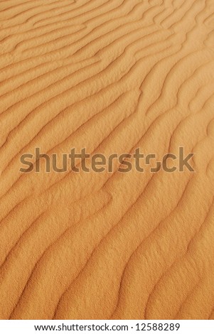 Background with lines in the desert sand