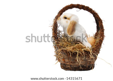 easter eggs in a basket with a bunny. easter bunny in a asket