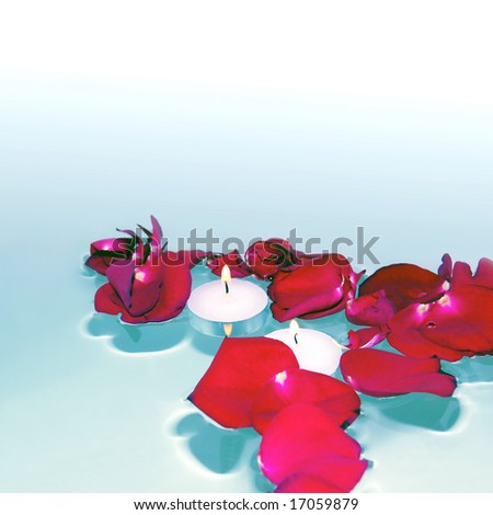 Romantic red rose petals and burning white candles floating on water