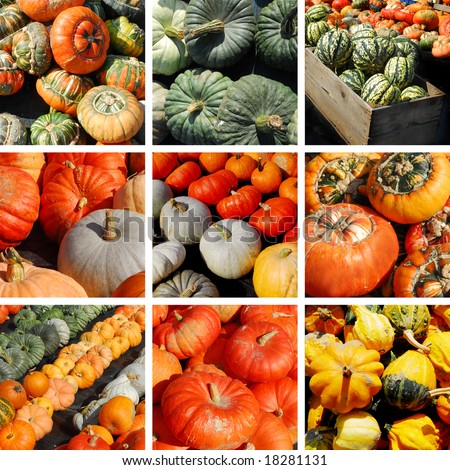 Background filled with a collection and collage of halloween pumpkins in all kind of colors and shapes