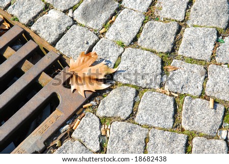 Street background with grey cobblestones and metal grating and colored maple leaf